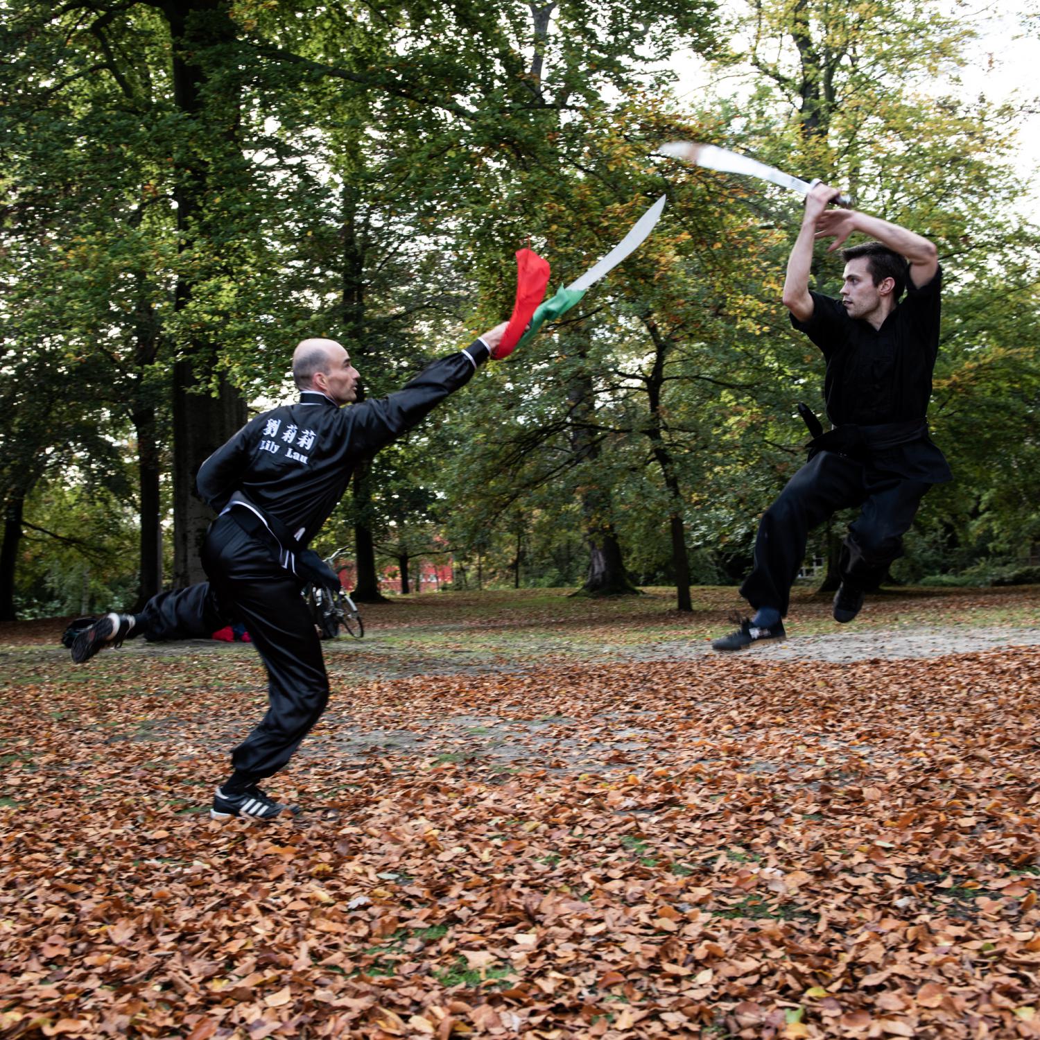 KUNGFU PROEFLESSEN